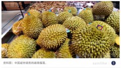 中越加强互联互通 合做书写成长新篇章